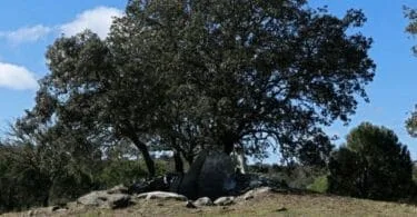 Anta da Pedra do Alagar