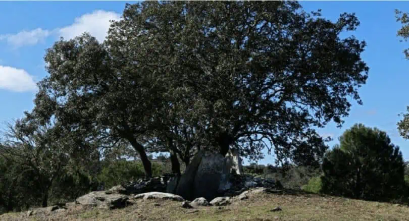 Anta da Pedra do Alagar