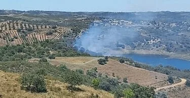 Incêndio junto à Ribeira do Beliche