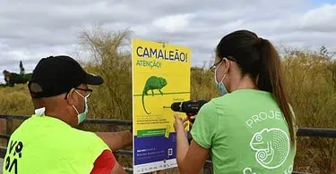 Defesa do Camaleão