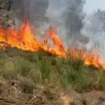 Incêndio em Monchique