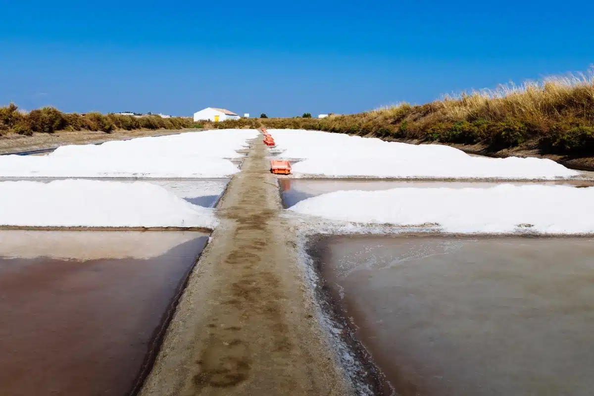 Salinas de Castro Marim