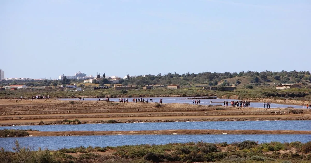 marcha passeio sapal