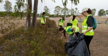 voluntáios ambientais em alcoutim