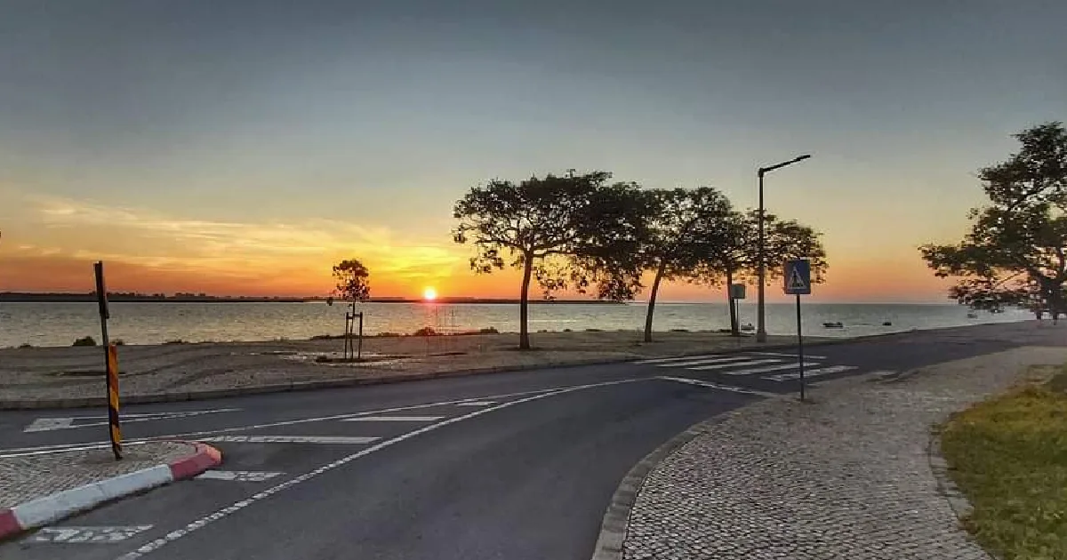 Pôr do sol à beira-rio com árvores e calçada.