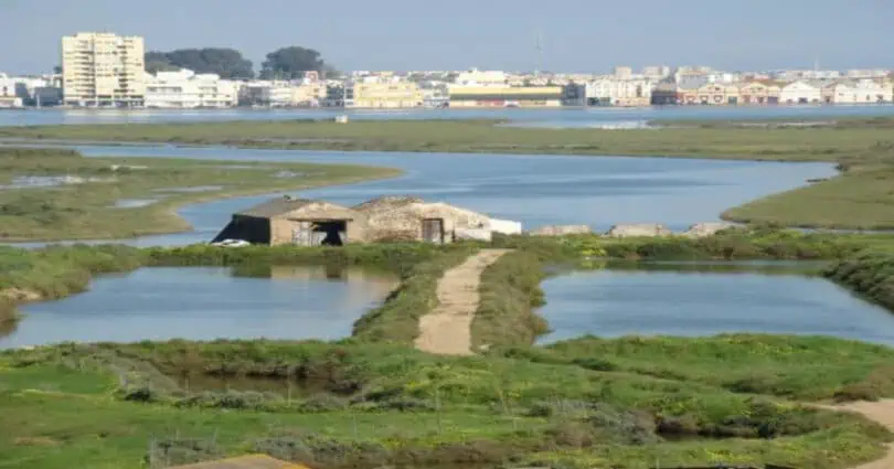 Paisagem ribeirinha com casa abandonada em Portugal.