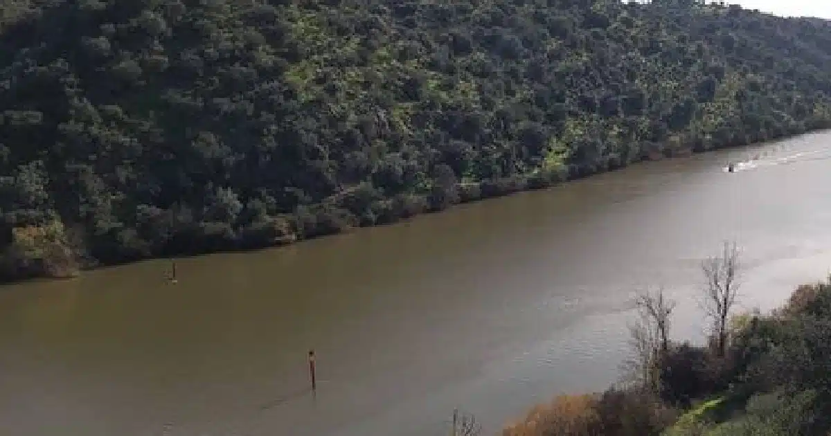 Guadiana, rio cercado por floresta verdejante e barco navegando.